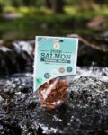 Pure-Salmon-Training-Treats-For-Dogs-1-x-85g-891585.jpg