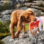Pure-Turkey-Training-Treats-For-Dogs-1-x-85g-518152.jpg