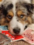 Pure-Turkey-Training-Treats-For-Dogs-1-x-85g-518152.jpg