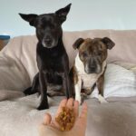 Pure-Chicken-Training-Treats-For-Dogs-1-x-85g-697696.jpg