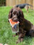 Pure-Chicken-Training-Treats-For-Dogs-1-x-85g-697696.jpg