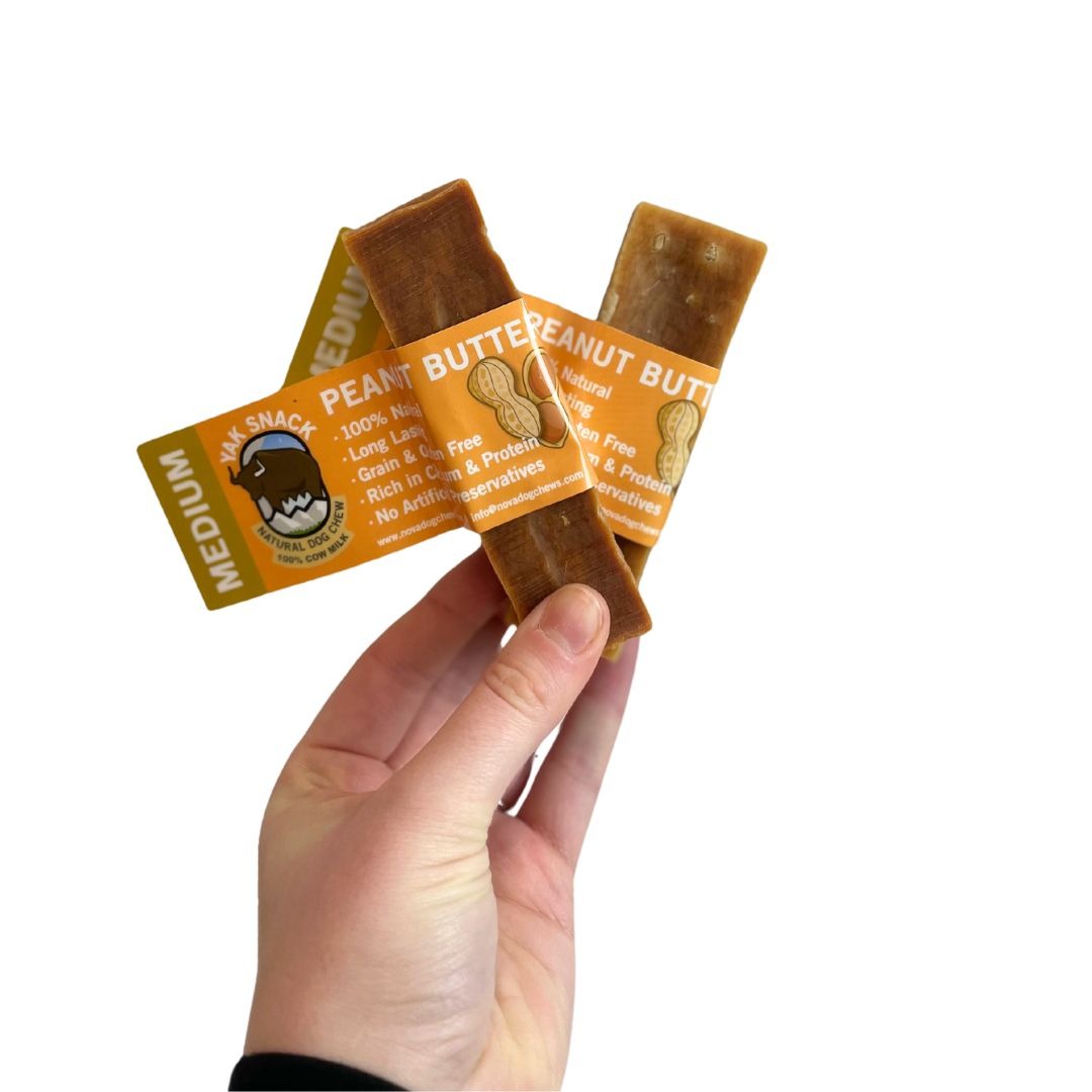 Peanut butter Himalayan yak milk chew for dogs, medium