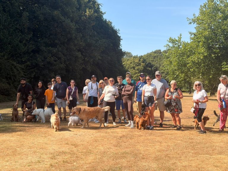 Large group of owners and their dogs gathered in a sunny park for a social walk