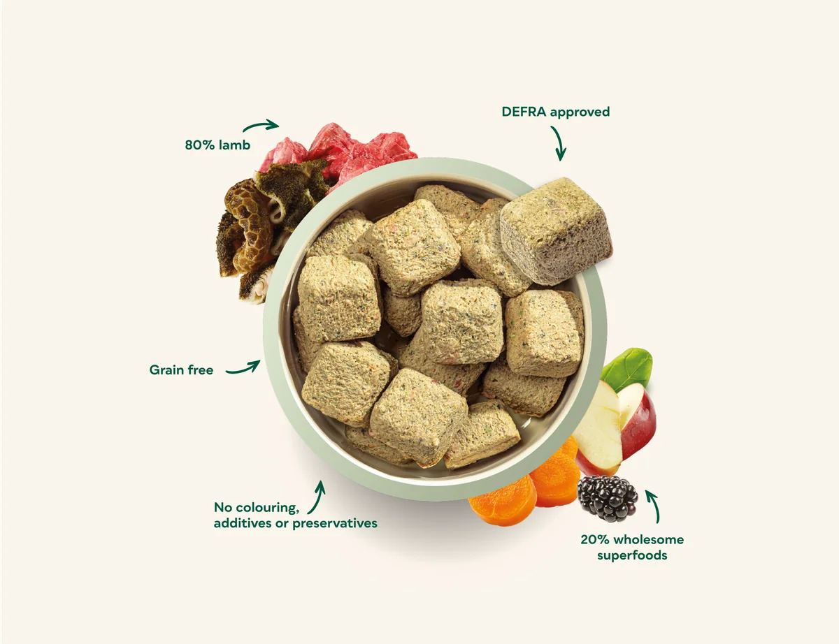 Bowl of Natures Menu raw lamb nuggets with recipe highlights
